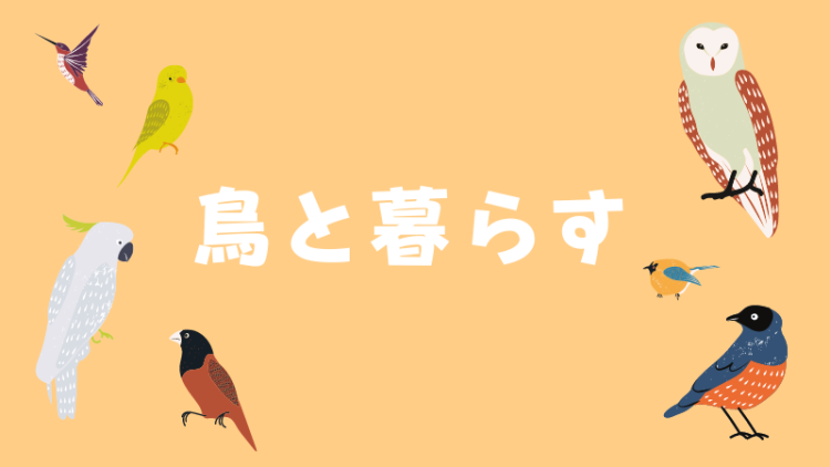 鳥と暮らす
